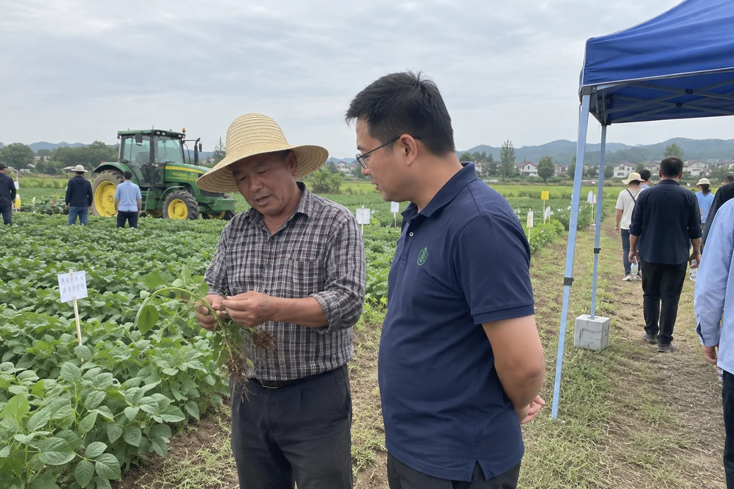 A farmer showing a plant’s roots to a Huasheng staff member during a field visit.
