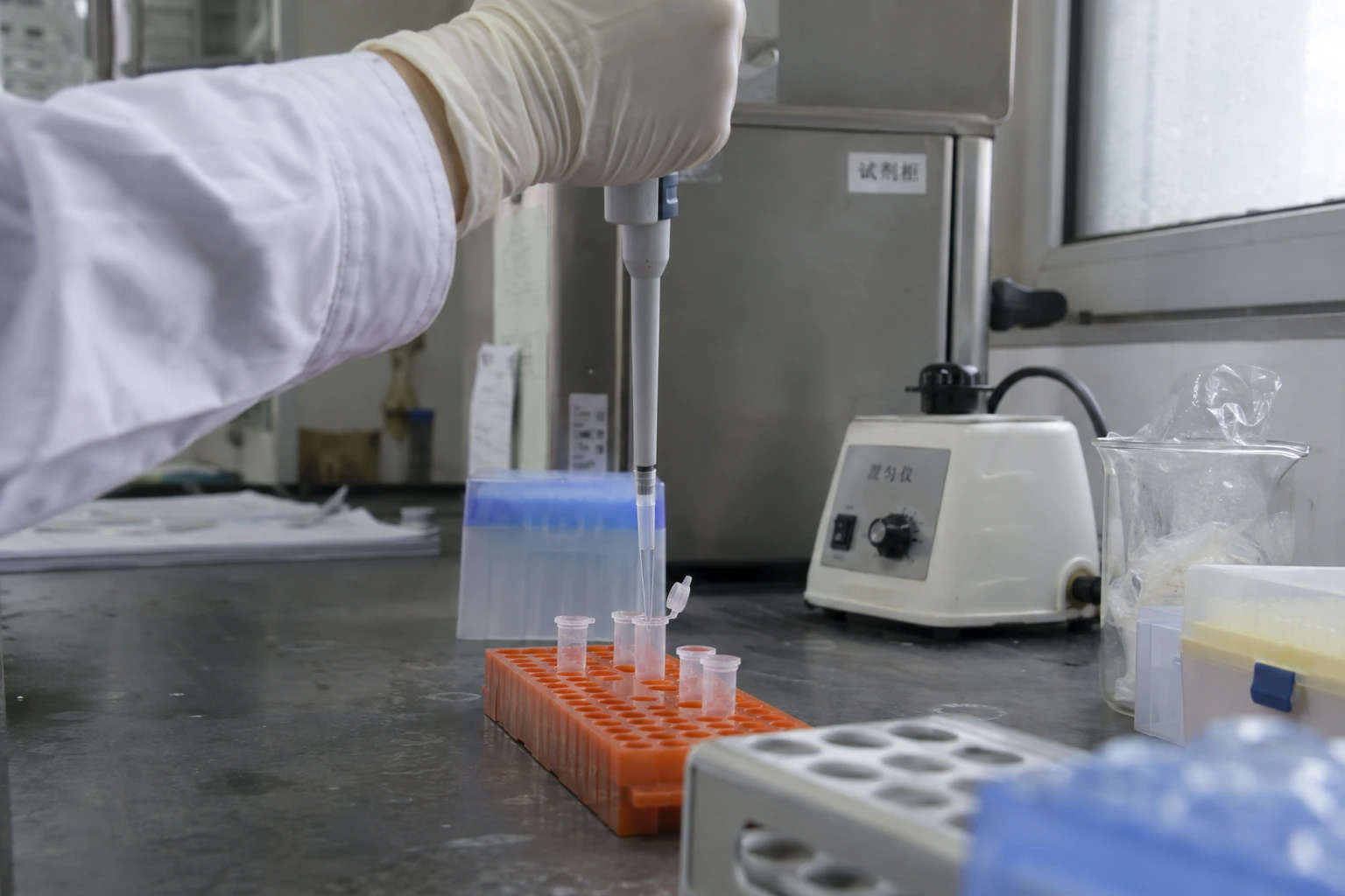 A gloved hand transferring a laboratory sample with a pipette.