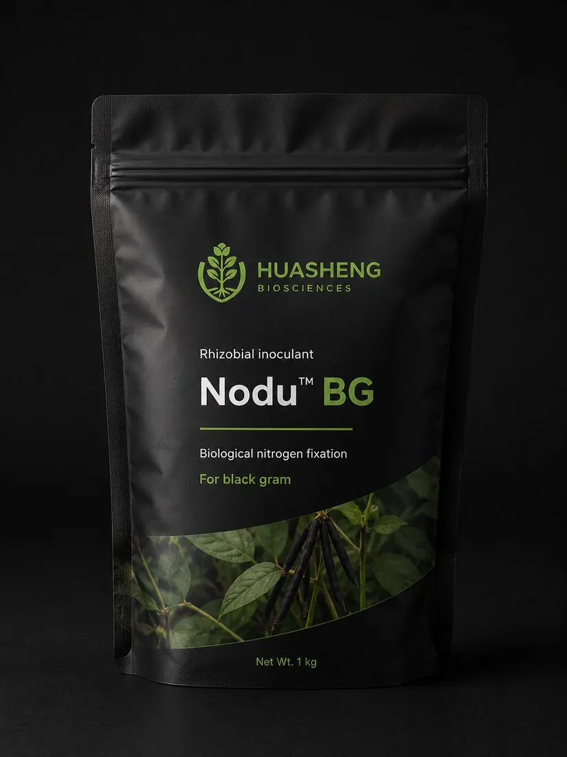 Nodu™ BG
