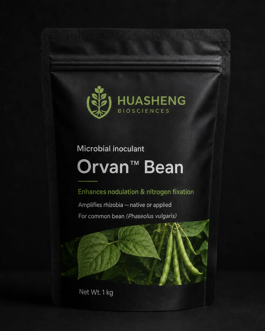 Orvan™ Bean