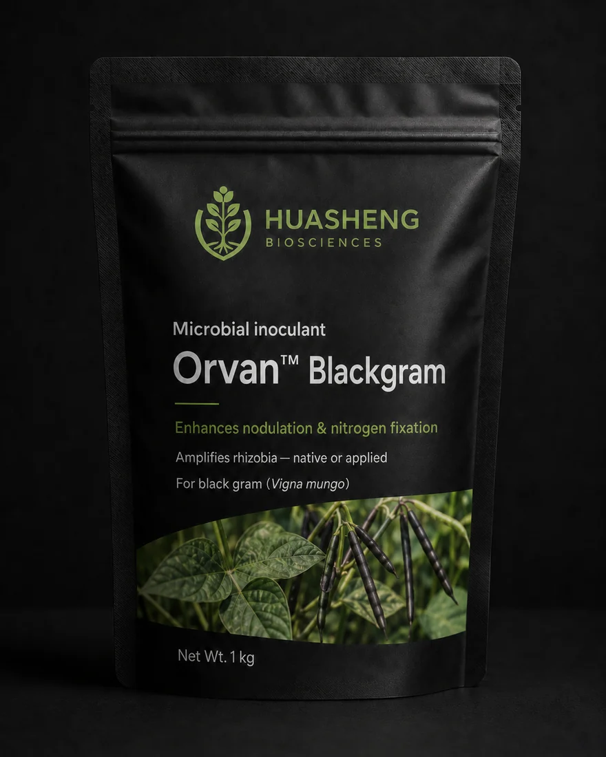 Orvan™ Blackgram