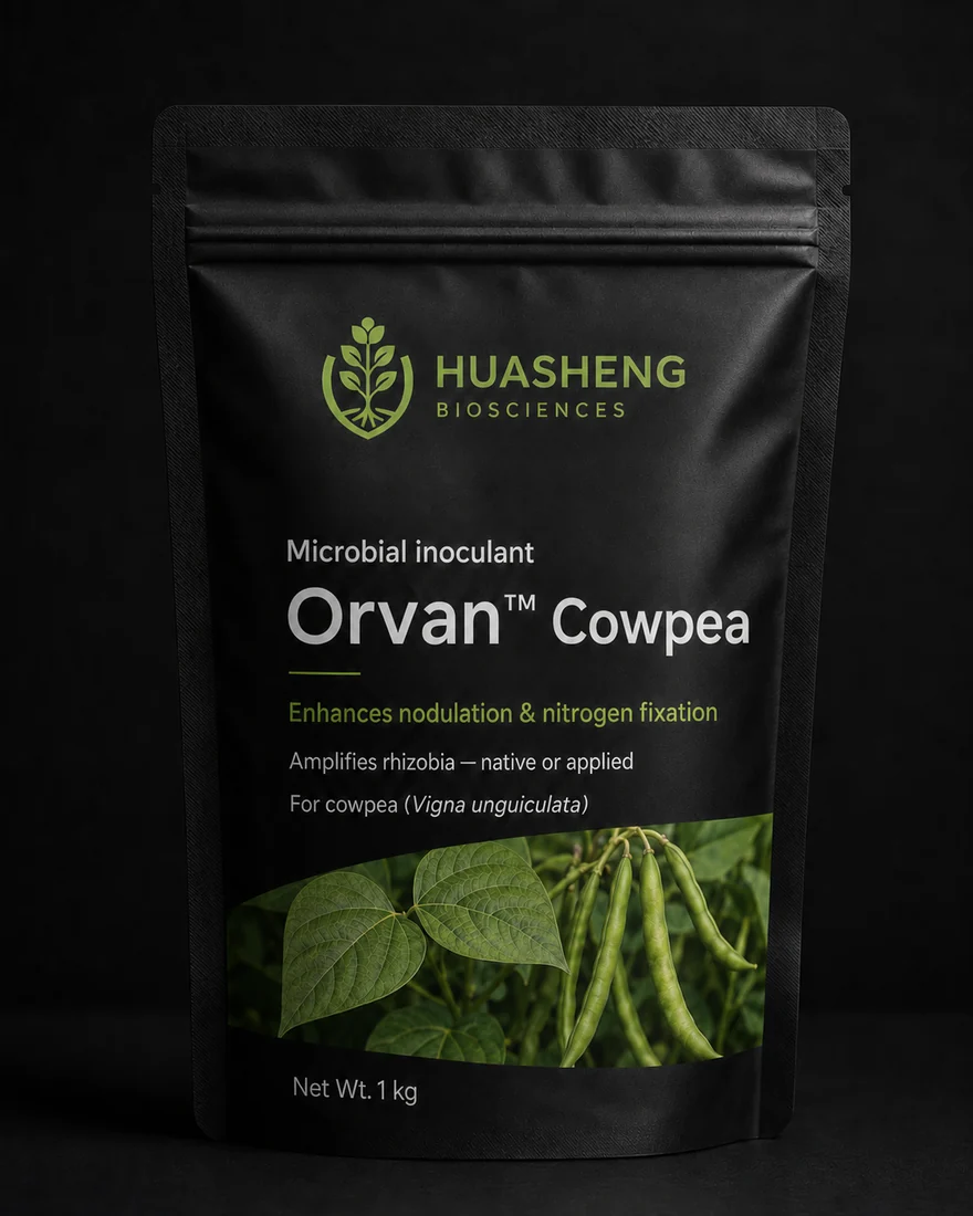 Orvan™ Cowpea