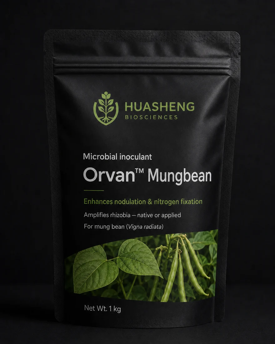 Orvan™ Mungbean