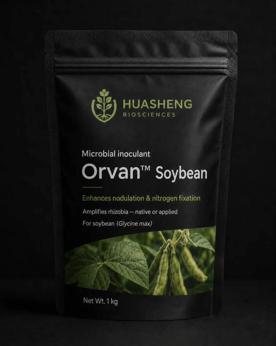 Orvan™ Soybean