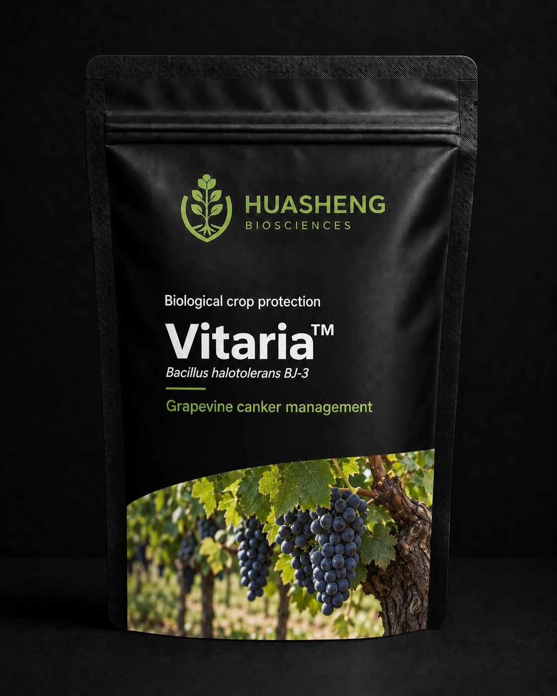Vitaria — Bacterial biological protection